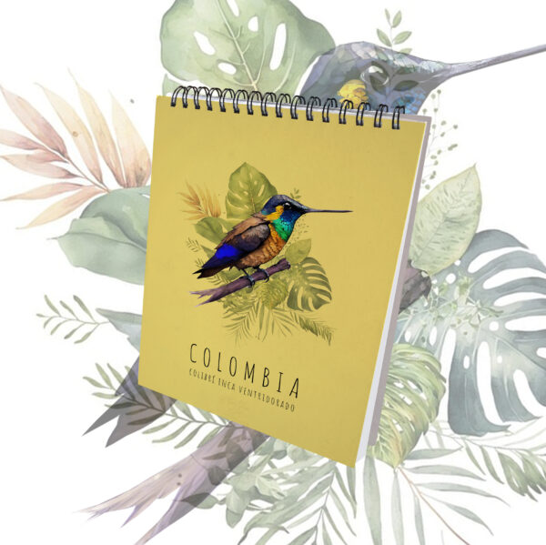 BITÁCORA COLIBRÍ INCA VENTRIDORADO