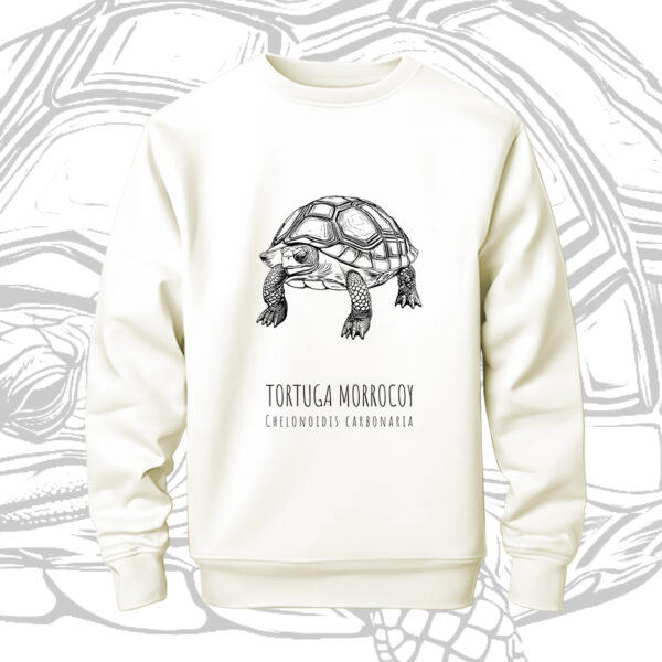 BUZO CUELLO REDONDO - TORTUGA MORROCOY