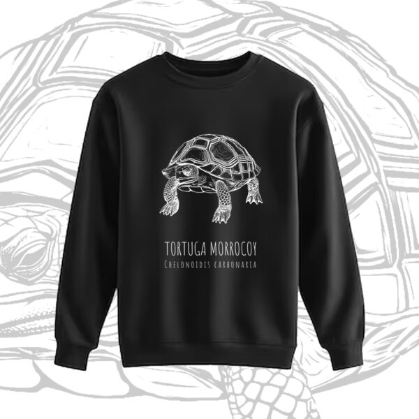 BUZO CUELLO REDONDO - TORTUGA MORROCOY - Image 2