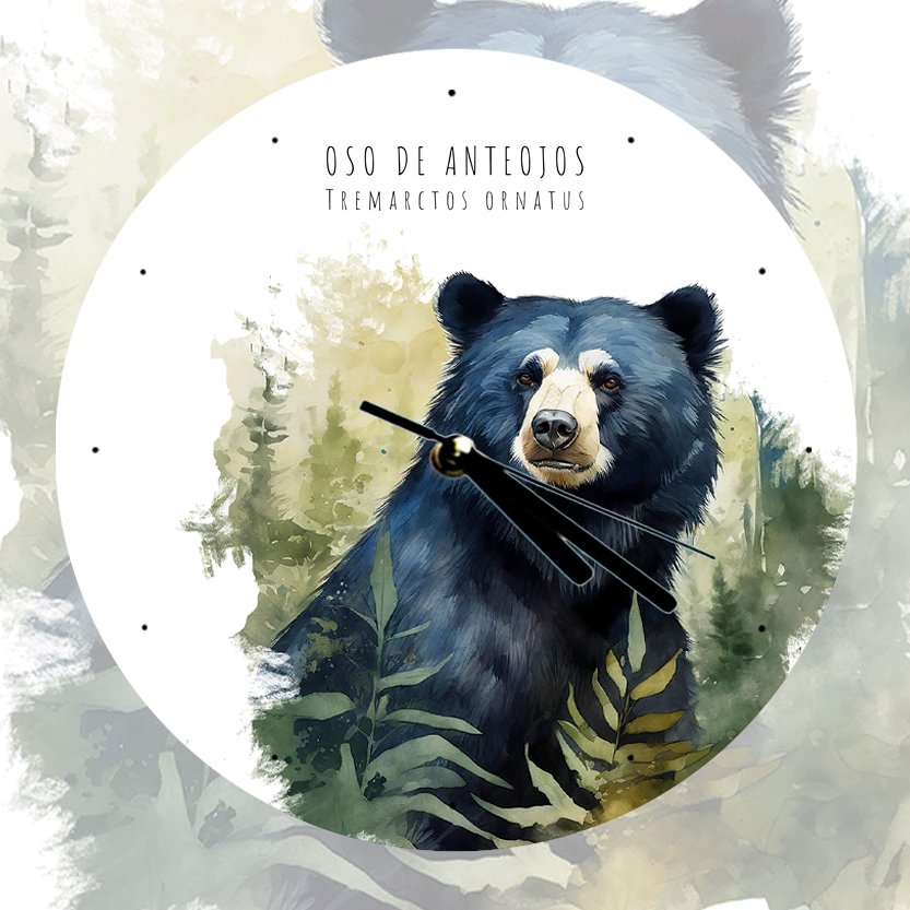 Reloj de Pared en Vidrio – Oso de Anteojos (Tremarctos ornatus)